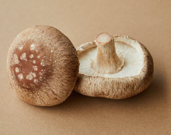 The Science Behind Mushroom Supplements and Their Health Benefits Guide